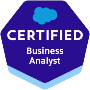 Business Analyst